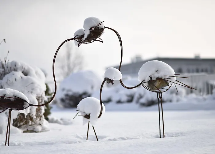 Отель Held Фюген