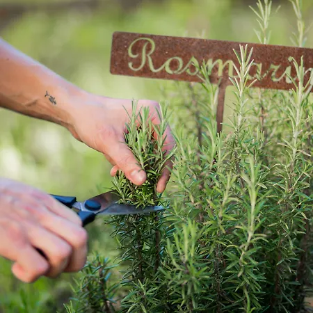 Sport- Und Wellnesshotel Held 4 Sterne Superior Fügen